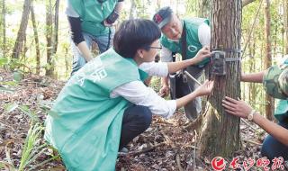 长沙小动物保护协会 长沙小动物保护协会