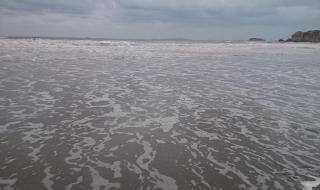 上海到普陀山的船票 上海到普陀山的船票